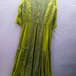 Beautiful Parrot Green Nayra Palazzo Set