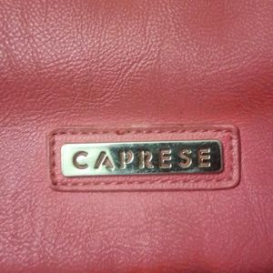 Caprese Handbag And Sling bag