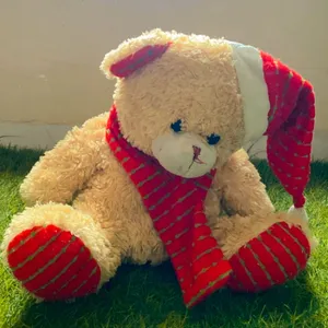 Taddy Bear Soft Toy