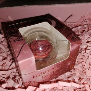 Tipsy Beauty Enchanted Garden Rose Blush