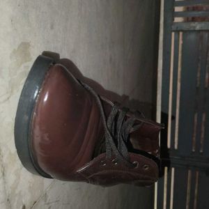 Brown Boots Shoe