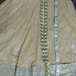 Bajirao Mastani Festive And Wedding Function Gown