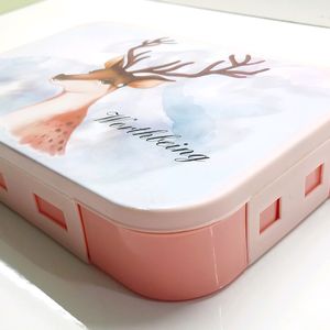 Pastel Aesthetic Lunch Box