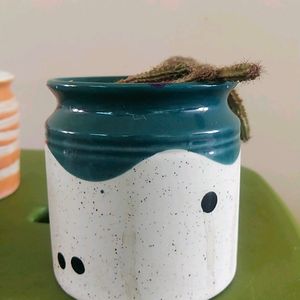 Cute Sculent Pot Combo