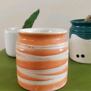 Cute Sculent Pot Combo