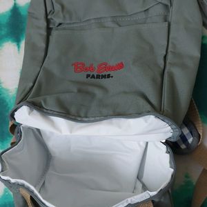 Backpack For School/College