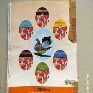 Class 4 Book