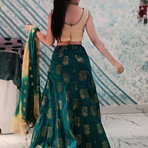 Simple And Attractive Lehnga