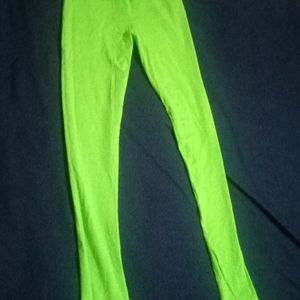 Light Green Leggings