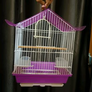 Bird Cage New