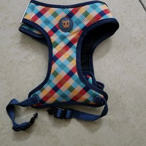 Puppy Harness and Red Collar