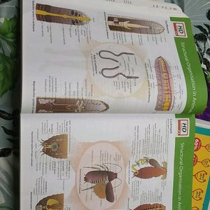 Combo Of MTG NCERT FINGERTIPS BIOLOGY & CHEMISTRY