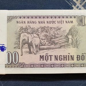 1000 Vietnam Dong Complete Serial Bundle Rare