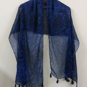 Blue Printed Stole