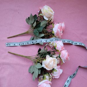 Light Pink Roses