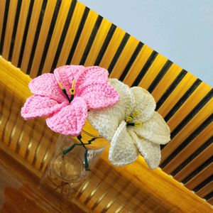 Pack Of 2 Colour Crochet Lillies