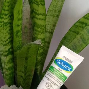 Cetaphil Hydrating Lotion