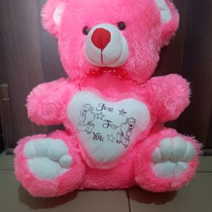 Pink 🩷 Super Soft Teddy