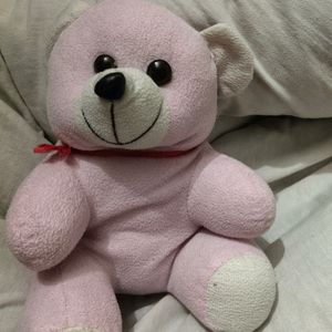 Cute Teddy