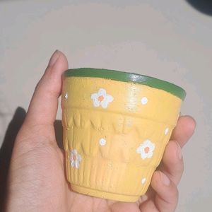 Cute Mini Pots (Gifting)