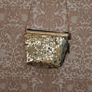 Sequin Bag/Pouch