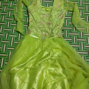 Stone And Thread Work Parrot Green Gown