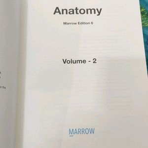 Anatomy Ed 6 Notes Of Marrow