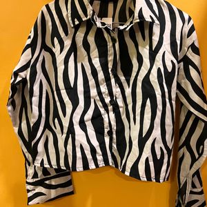 Zebra Print Short For Women