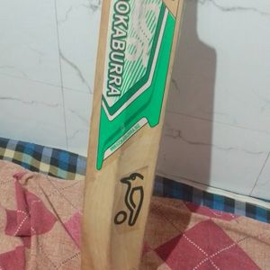 Kookaburra Kashmir Willow Cricket Bat
