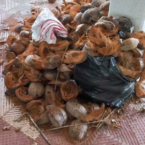 Dry Coconut (5kg+ Available)