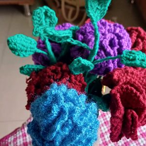 Crochet Carnation Flowers