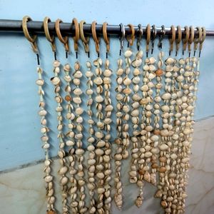 ❣️ Wall Hanging Sea Shell 🐚