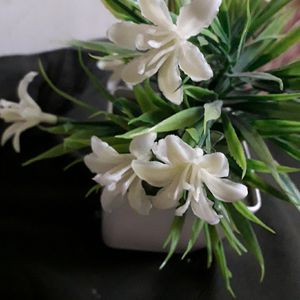 Artificial White Flowers Plant