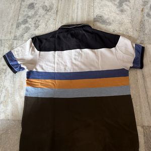 Branded Polo Tshirts for Men