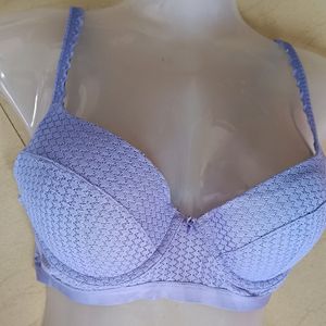 Cool Colour Beautiful Bra