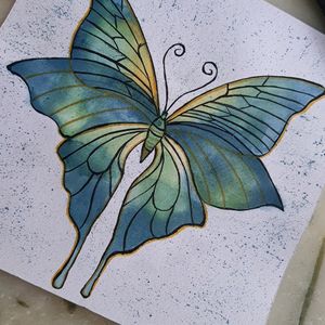 butterfly painting🦋