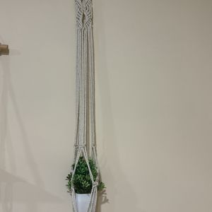 Plant Holder