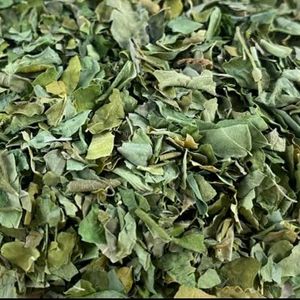 Moringa Leaves