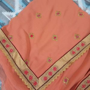 Beautiful coral saree