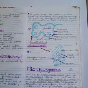 Class 12th CBSE Biology Notes