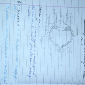Class 10 Physics Notes