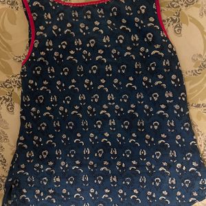 Fabindia Blue Top