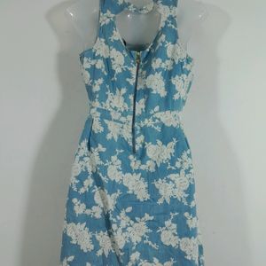 Blue And White Dress (Women's)