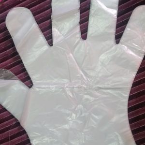 Disposable Plastic Gloves