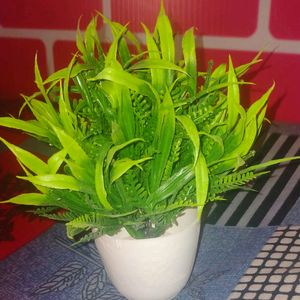 Mini Decorative, Home Office or Gift Wild Artificial Plant with Pot Green