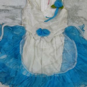 Blue Ruffle Organza Dress