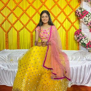 Lehenga Choli / Wedding Outfit / Ethnic Wear