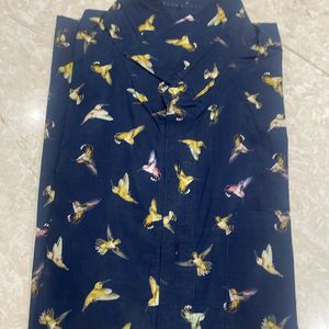Bird 🦅 Shirt