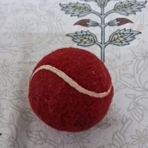 Cricket Ball Pick Up 1