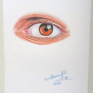 Colour Pencil Drawing